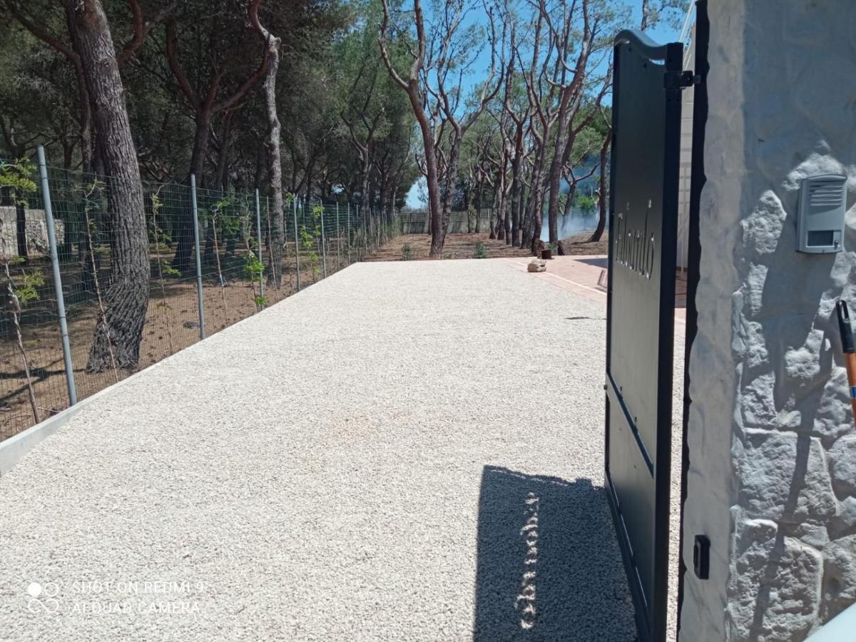 Villa Edoardo Con Pineta A 250 Metri Dal Mare Torre Squillace ภายนอก รูปภาพ